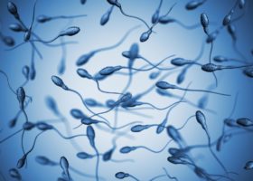 sperm-on-a-blue-background